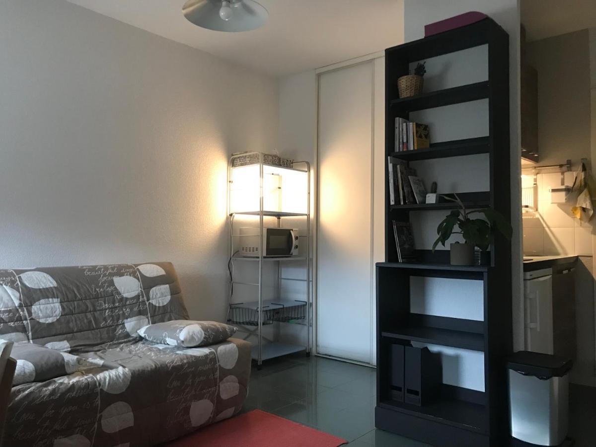 Appartement Dans Toulouse Hyper Centre Esterno foto